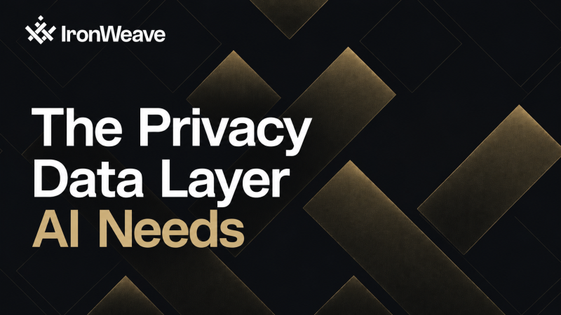 The Privacy Data Layer AI Needs