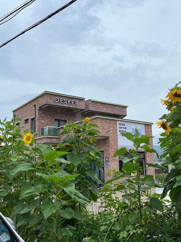 노션으로 워케이션 준비하기