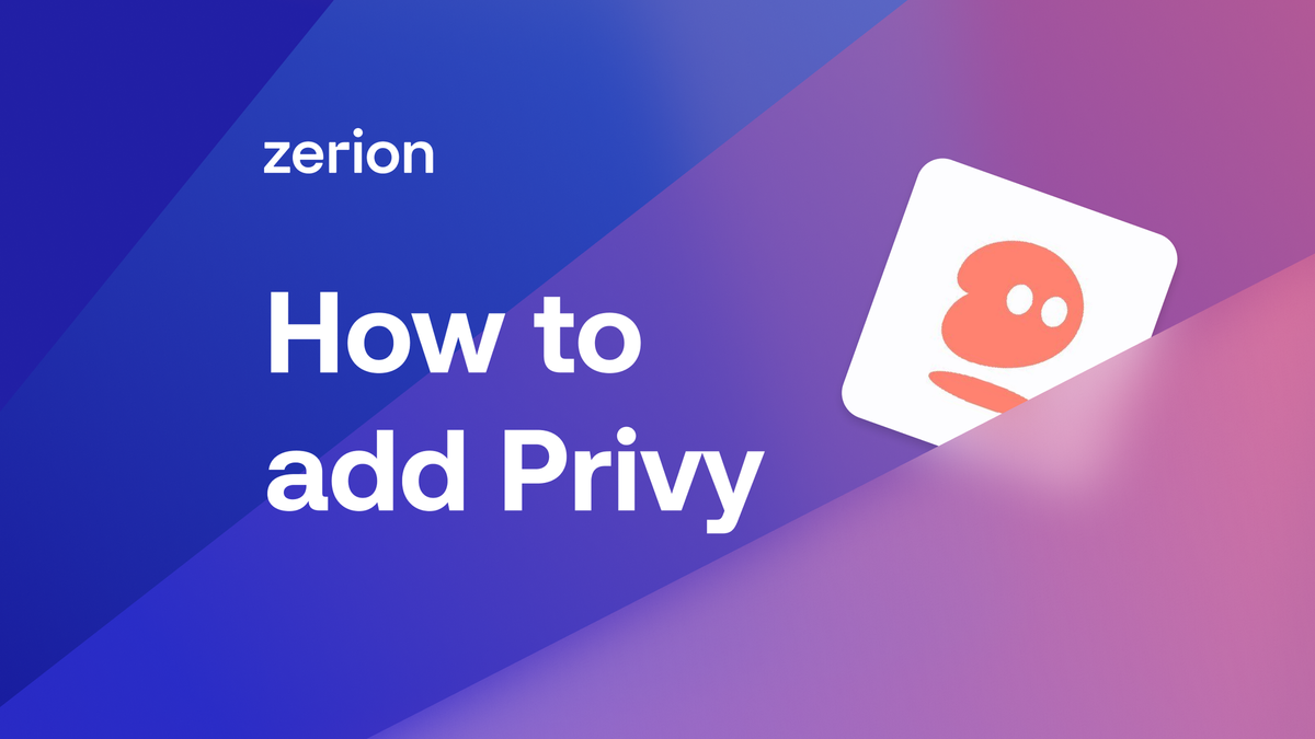 How to Track All Your Privy Wallets With Zerion