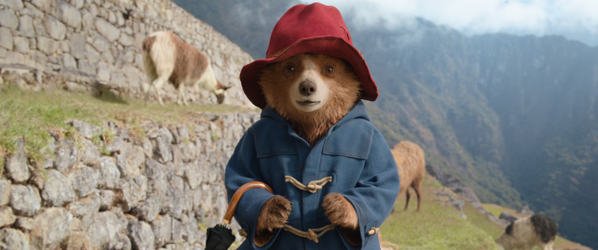 Paddington Brown (voiced by Ben Whishaw) in Paddington in Peru