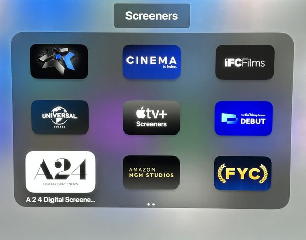 A Big Problem with Screener Season