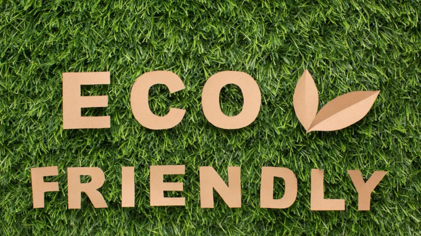 Digital Green: How Small Businesses Build Eco-Friendly, Purpose-Driven Brands