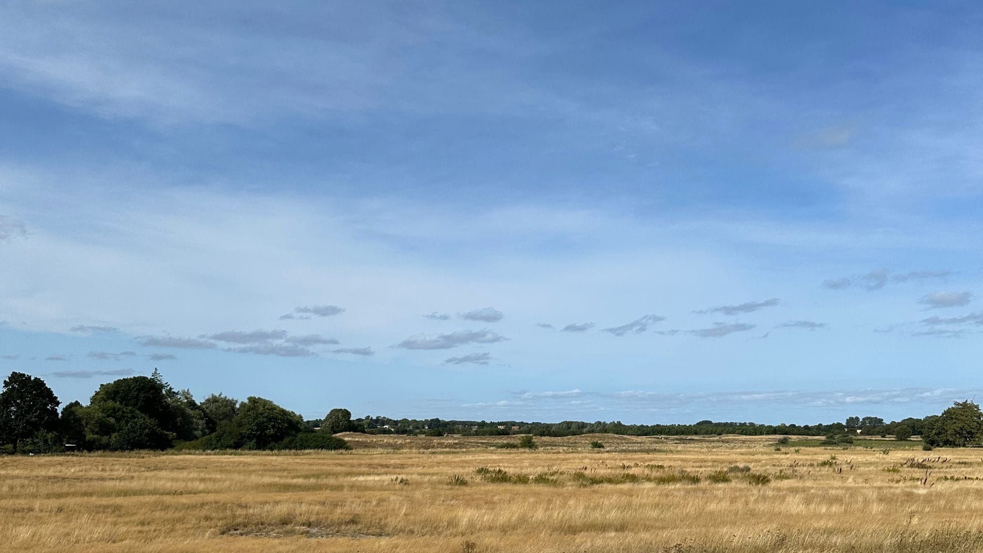 Een sereen Deens natuurgebied dat rust en stilte uitstraalt, met een open veld en bomen aan de horizon.
