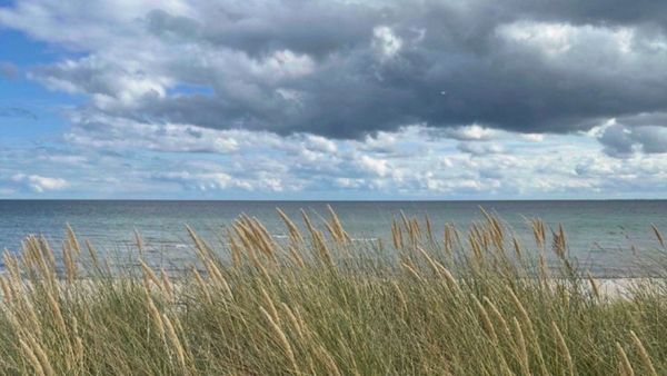 Een weids en sereen beeld van de Deense oostkust met op de voorgrond hoog duingras met daarachter de zee en een blauwe lucht met witte en grijze bewolking.