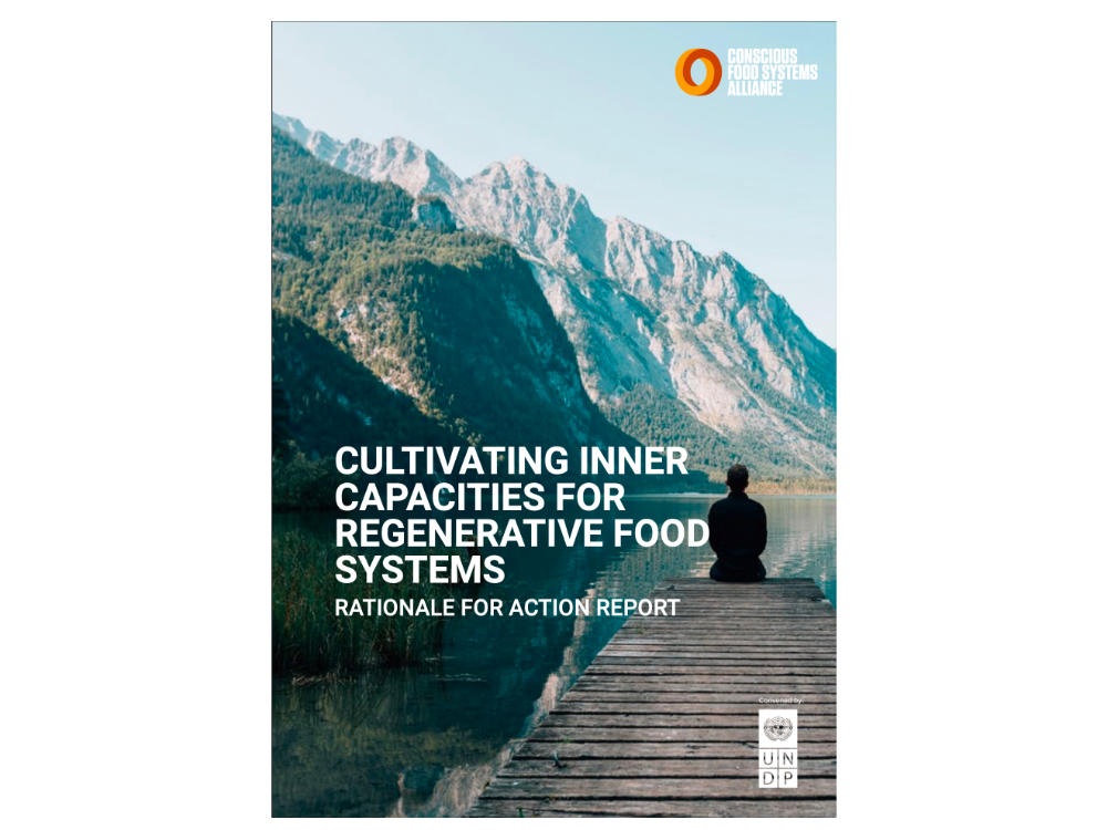 UNDP Conscious Food Systems Alliance - Manifesto, Theoretical Foundations and Action Report