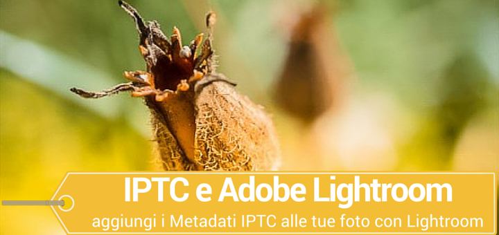 Con i Metadati IPTC aumenti la visibilità sui motori di ricerca delle tue foto, ed inoltre, ogni fotografia conterrà i tuoi dati e la tipologia di copyright che hai scelto