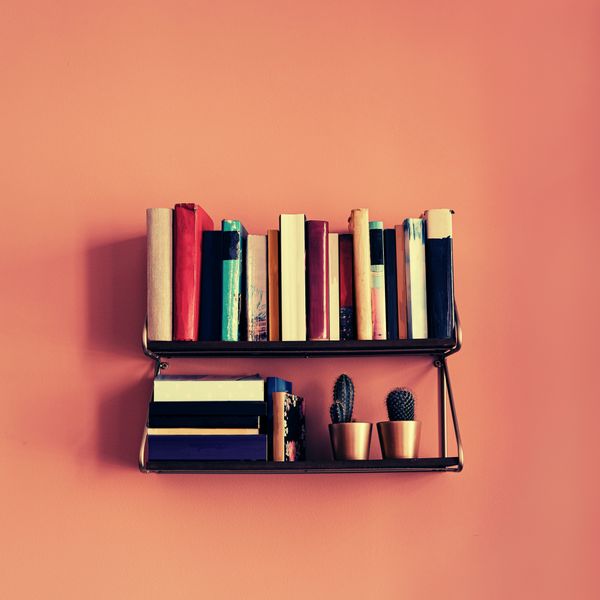 Colorful books and small cacti on floating shelves against a salmon-colored wall