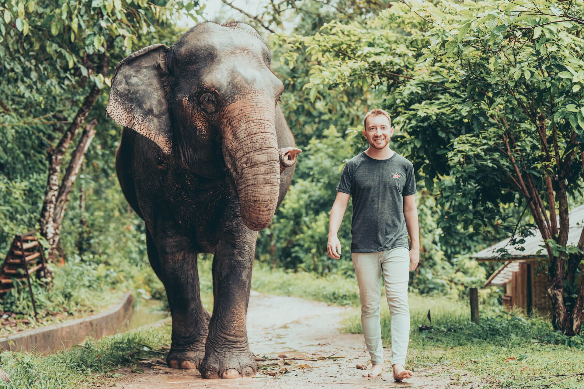 Feel Chiang Mai
