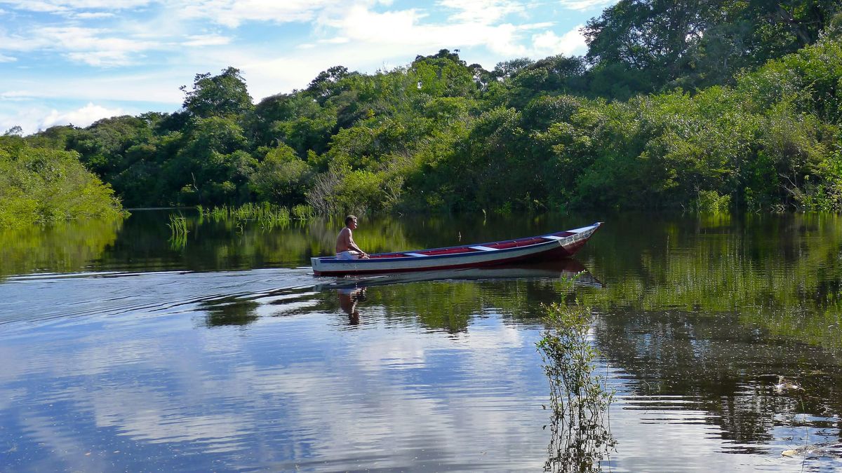 5 Best-Rated Hostels in Manaus for 2026