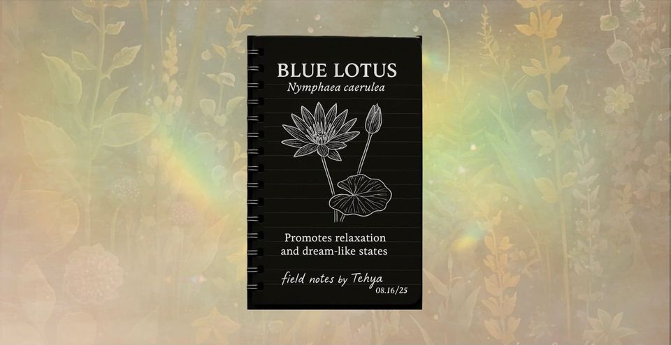 Blue Lotus (Nymphaea caerulea)