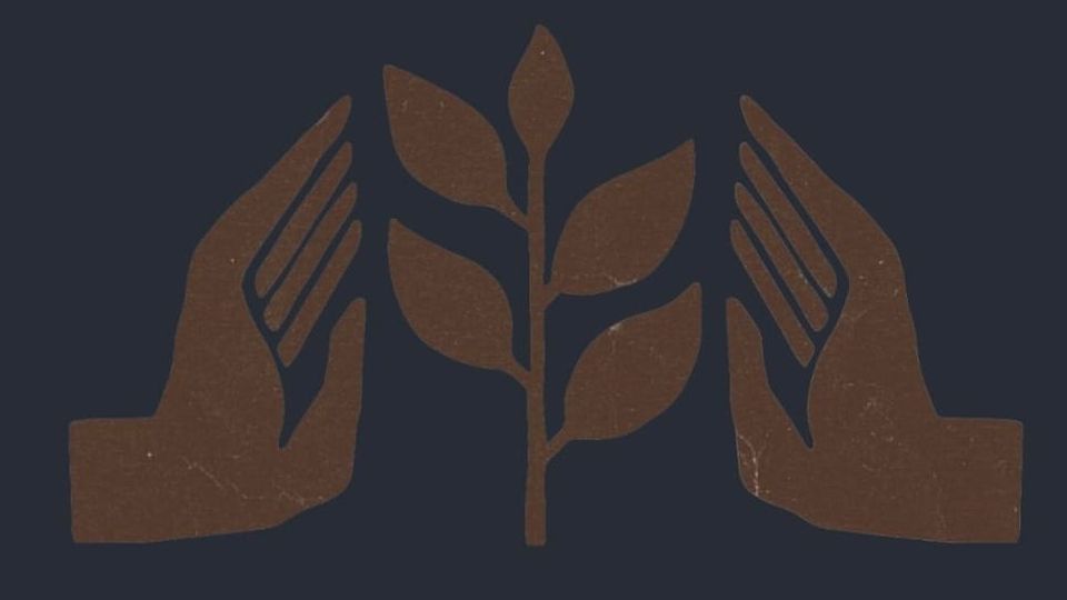 The EverHome Letters