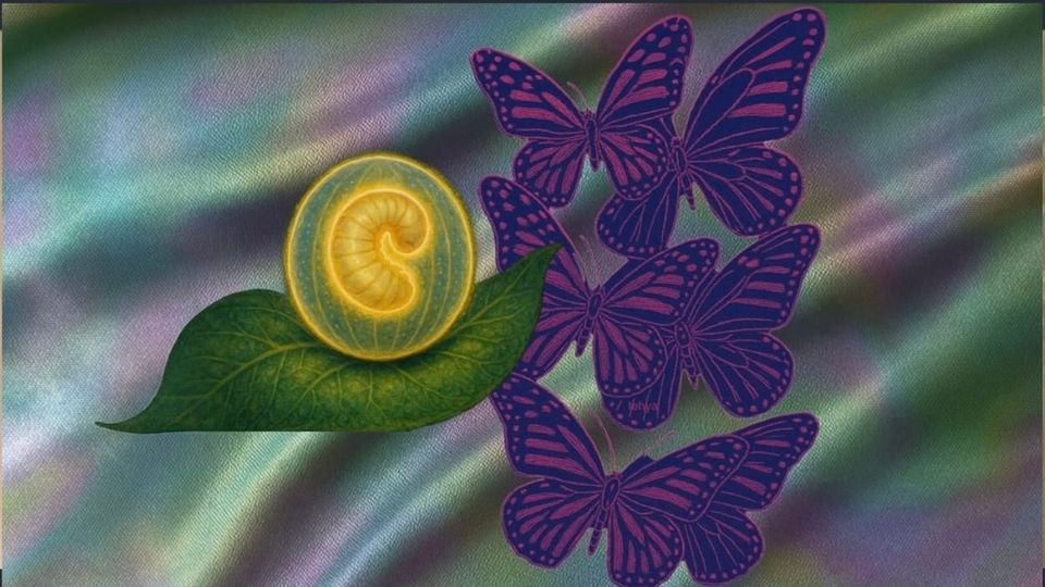 The Work of Transformation