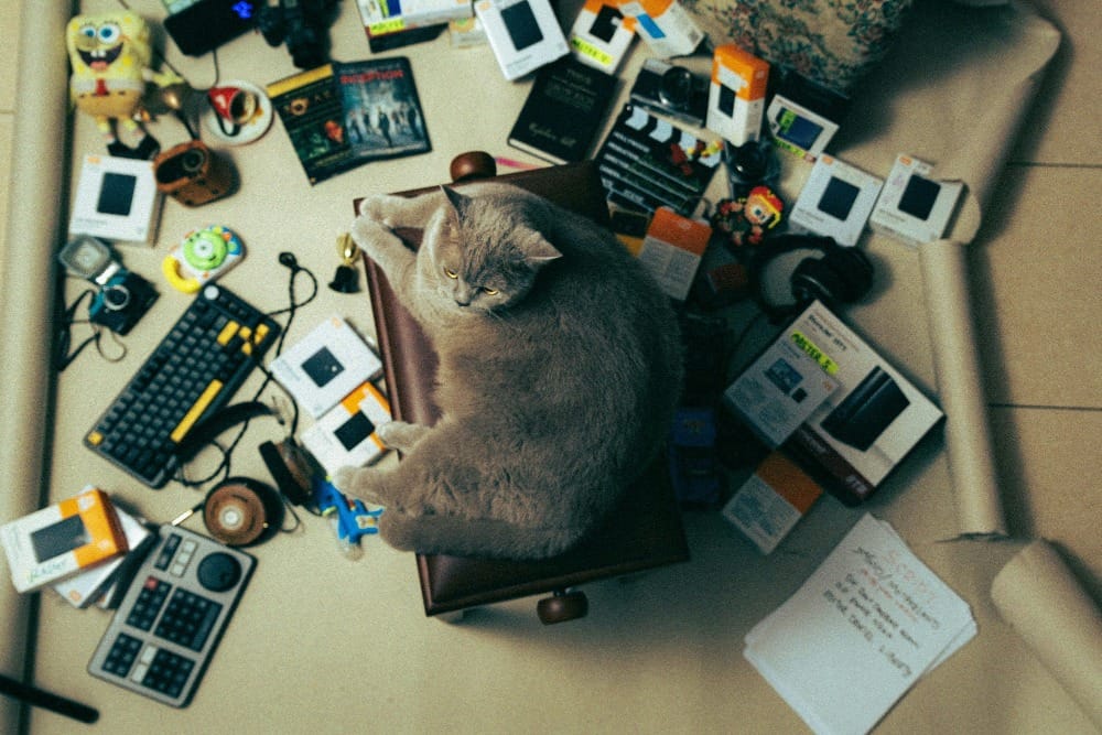 Overwhelmed beginner surrounded by online business tools and platforms