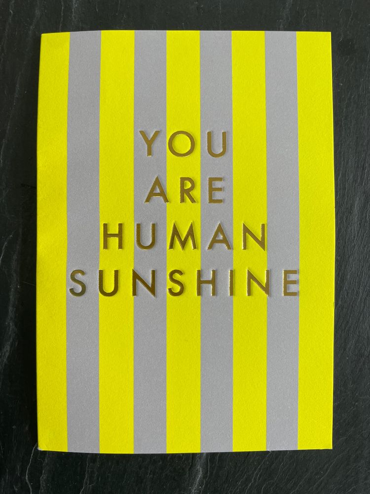 ✨ Seth & buddi bench have Won ANOTHER AWARD!!! ✨