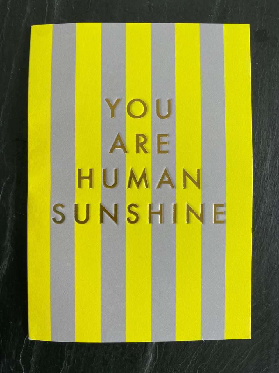 ✨ Seth & buddi bench have Won ANOTHER AWARD!!! ✨