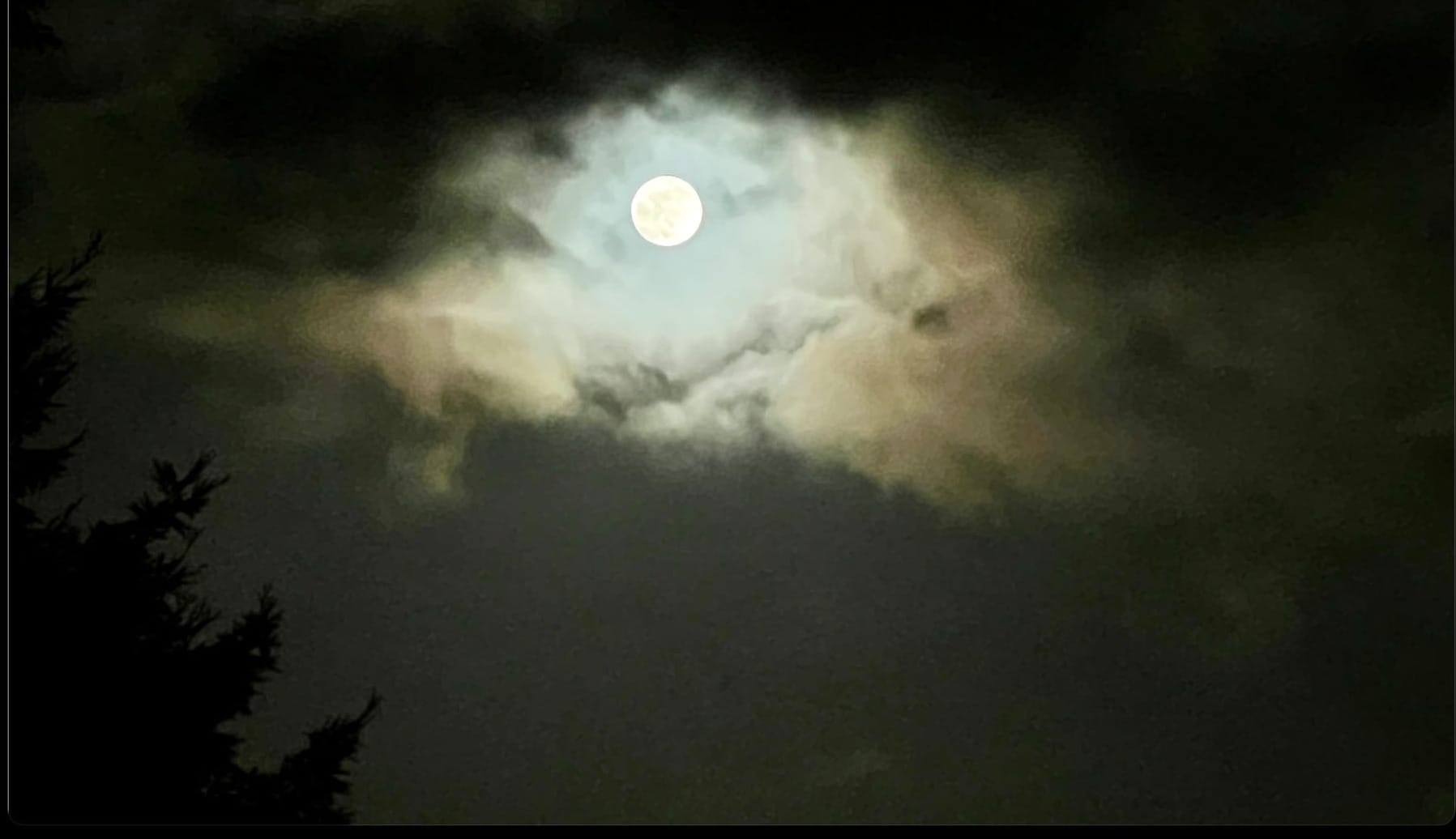 Letters from La Luna