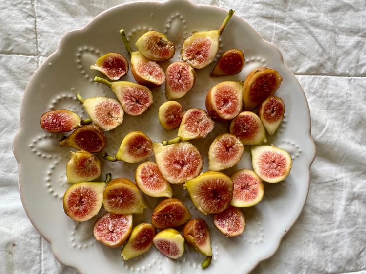 Why you need a fig tree