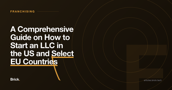 A Comprehensive Guide on How to Start an LLC in the US and Select EU Countries