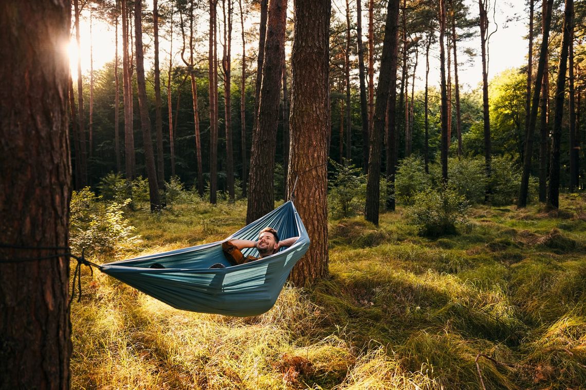 Digital Slow Life – cum să fii conectat, dar fără să te pierzi