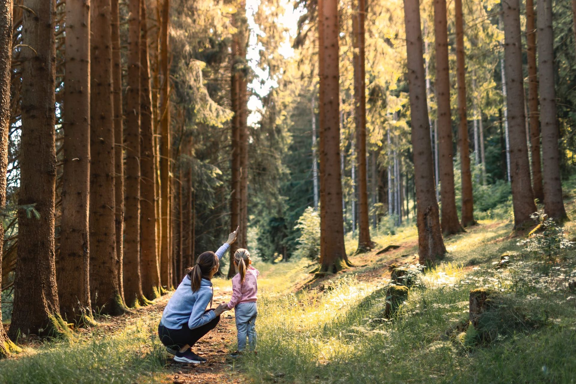 Viața fără internet timp de 7 zile: trendul verii