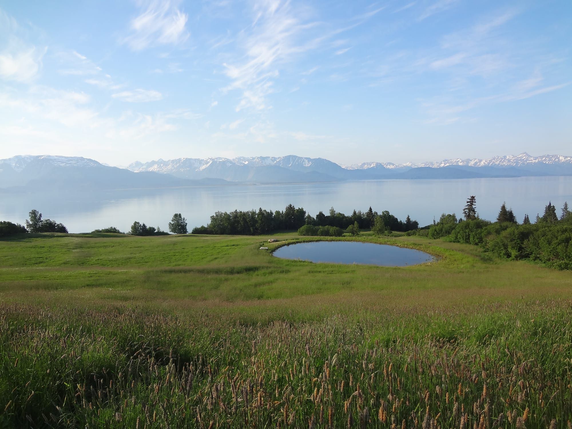Open meadow and Kachemak Bay beneath Alaska mountain ranges.