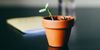 Meditation research for therapists