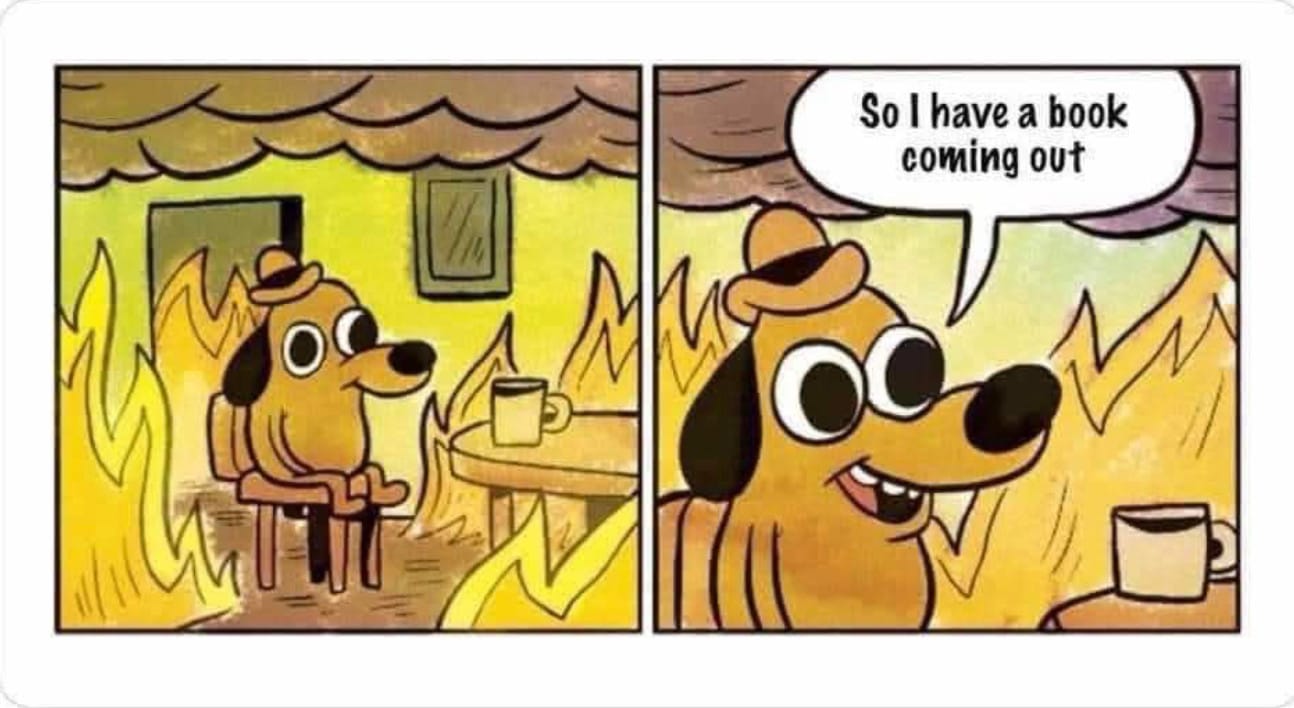 dog in a fire "this is fine" meme, saying "so i have a book coming out"