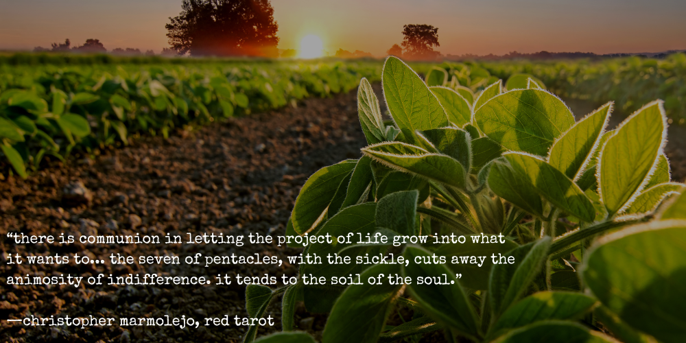 "there is communion in letting the project of life grow into what it wants to... the seven of pentacles, with the sickle, cuts away the animosity of indifference. it tends ot the soil of the soul." --christopher marmolejo, red tarot