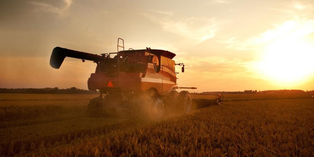 photo of a wheat harvesting machine clearing a golden field, with the sun setting in the background