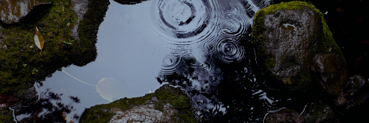 overhead photograph of wet rocks with moss and rippling water