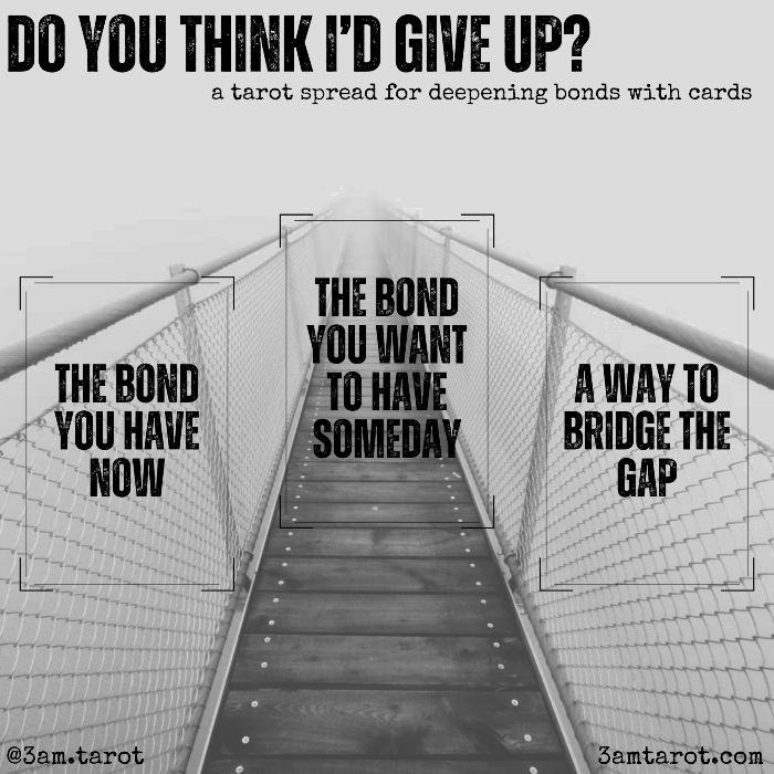 do you think i'd give up? a tarot spread for deepening bonds with cards. the bond you have now / the bond you want to have someday / a way to bridge the gap