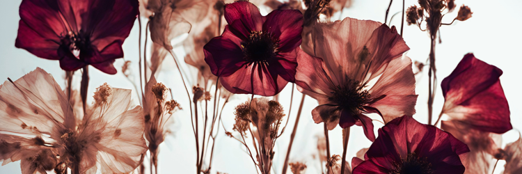 october 2025: ten of pentacles // building ourselves home