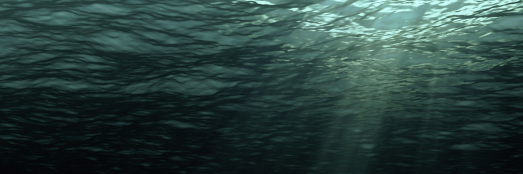 sunlight streaming through the surface of the water, from the perspective of below the waves