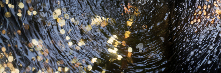 rippling water with gold and silver coins underneath