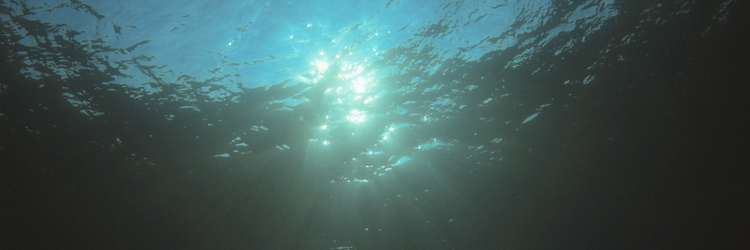 photograph of sunshine from underneath the surface of water