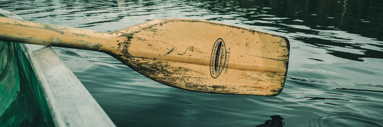 wooden paddle dipping into calm water from inside a rowboat