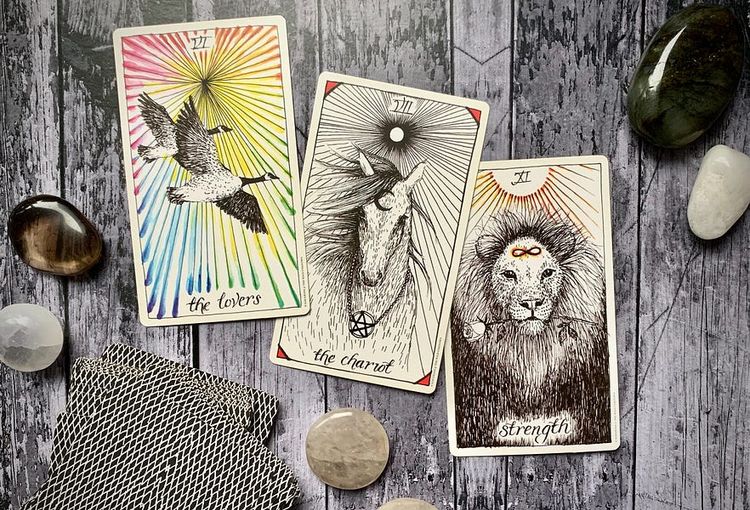 from the chariot to strength