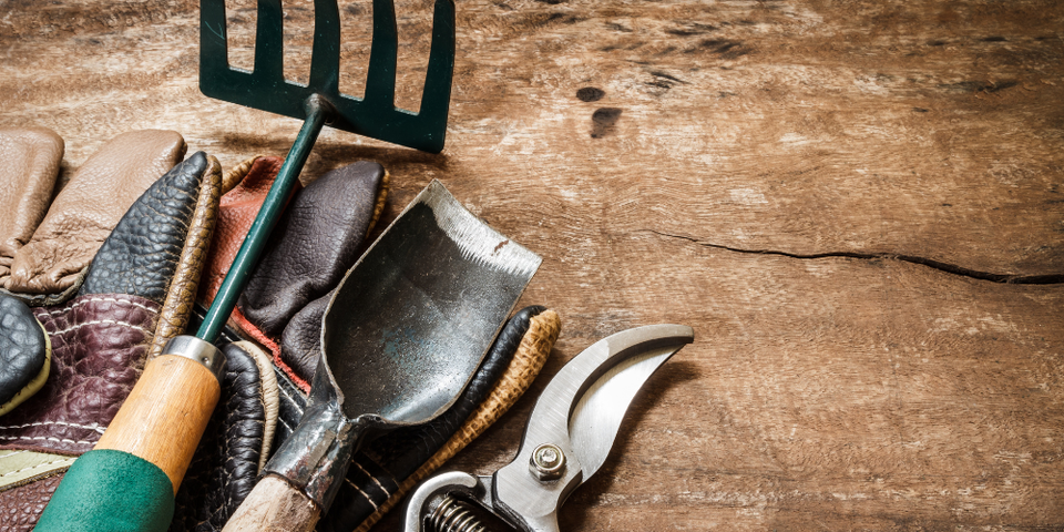 garden tools and gloves resting on a wooden surface