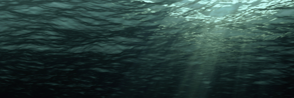 sunlight streaming through the surface of the water, from the perspective of below the waves