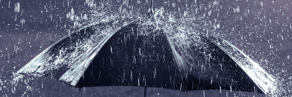 umbrella in the rain