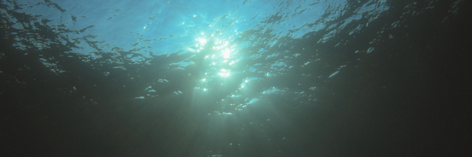 photograph of sunshine from underneath the surface of water