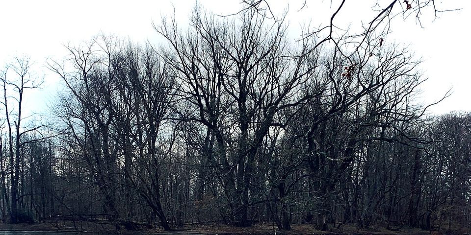 capricorn season & the winter solstice