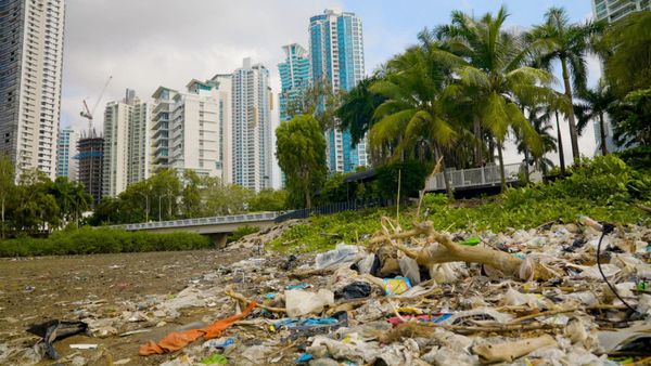 Kia y The Ocean Cleanup avanzan en la reducción de residuos plásticos en los ríos de Ciudad de Panamá