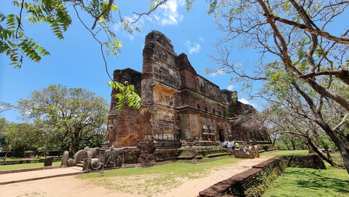 🥥 From Coconut Cocktails to Capitalism Collapse (and Why Mindset Matters)