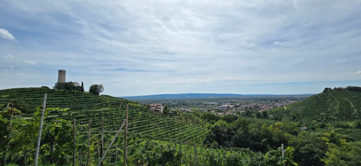 Bubbles & Beliefs: How long until they pop?