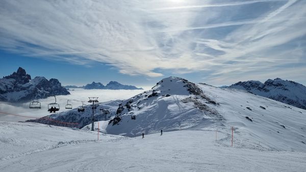 Planet Positive Pulse - February