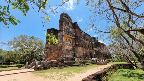 🥥 From Coconut Cocktails to Capitalism Collapse (and Why Mindset Matters)