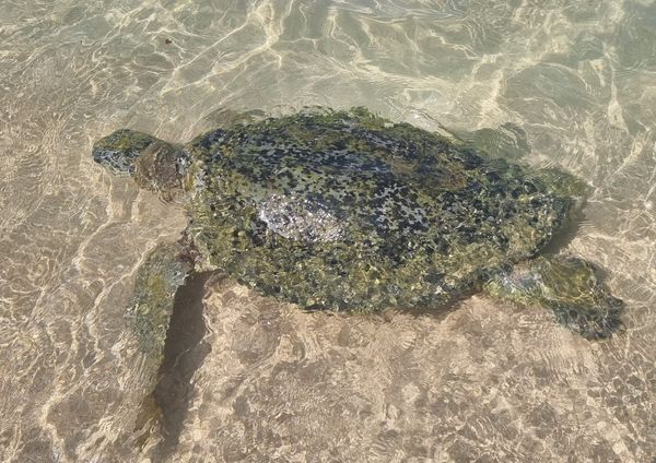 Planet Positive Pulse - April