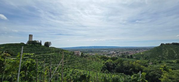 Bubbles & Beliefs: How long until they pop?