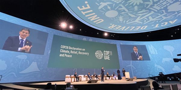 Shaping the Global Climate Conversation: Successful Advocacy at COP
